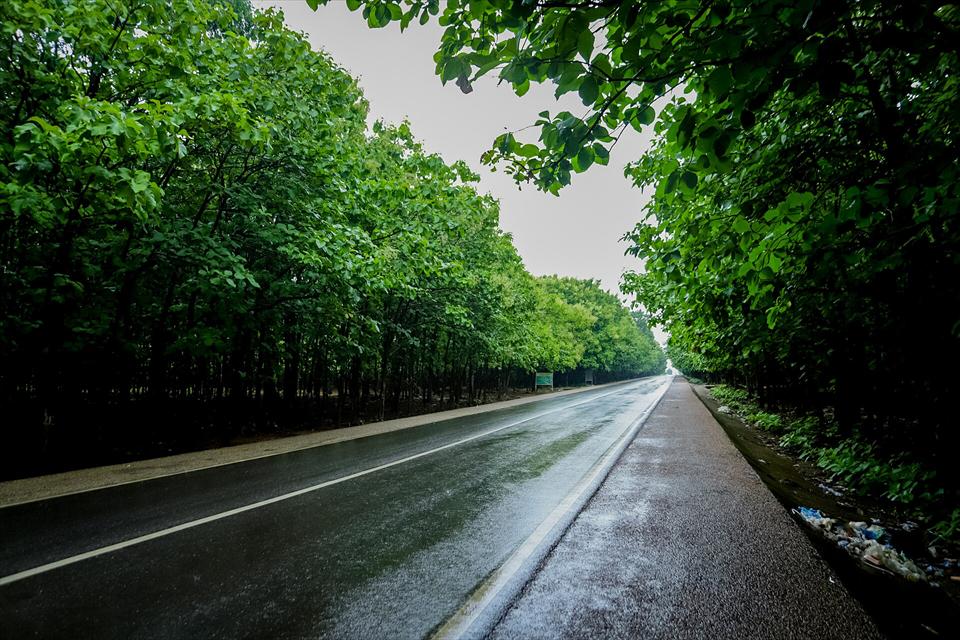 A long, straight road through green forest in northern Ghana after rain